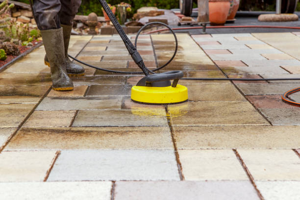 Best Solar Panel Cleaning  in Franklin, MI